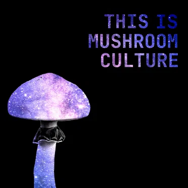 This is Mushroom Culture by Mushroom Culture - album cover