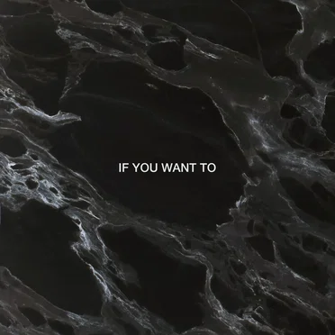 If You Want To (remix)