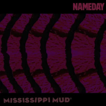Mississippi Mud by Nameday - album cover