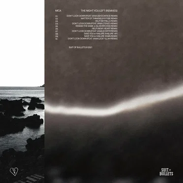 The Night You Left (remixes)