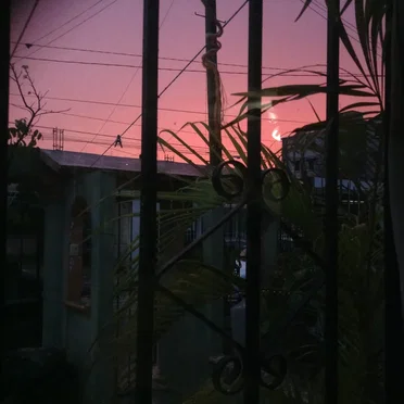 Noches de enero
