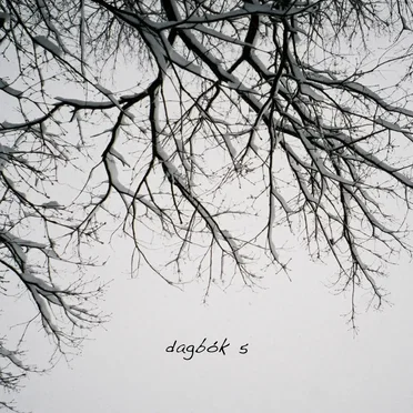 dagbók 5
