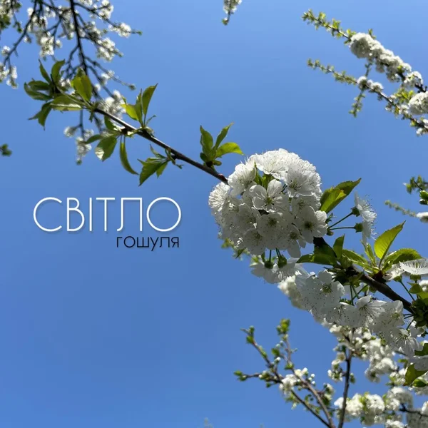 Світло