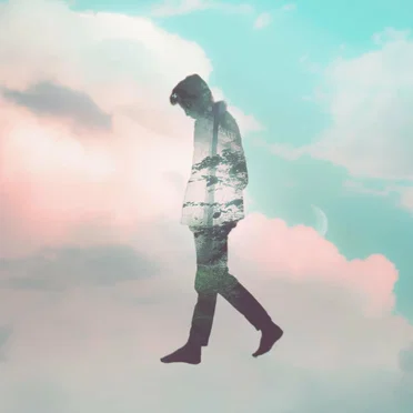 i just wanna walk in the forest