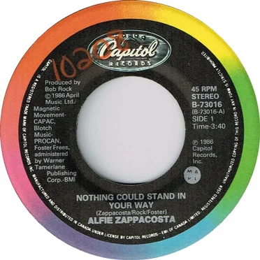 Nothing Could Stand in Your Way