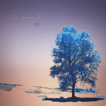 Descanso En Ti by Rocas - album cover