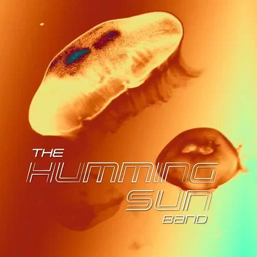 Last Night Revisited by The Humming Sun Band - album cover
