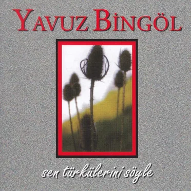Sen Türkülerini Söyle by Yavuz Bingöl - album cover