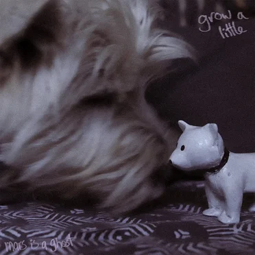 grow a little by mars is a ghost - album cover