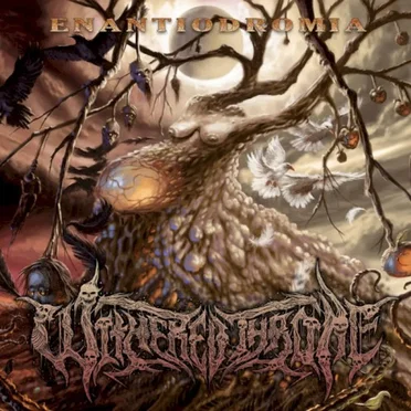 Enantiodromia by Withered Throne - album cover