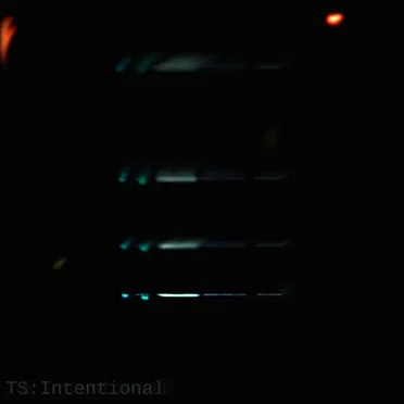 Intentional