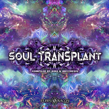 Soul Transplant by Various Artists - album cover