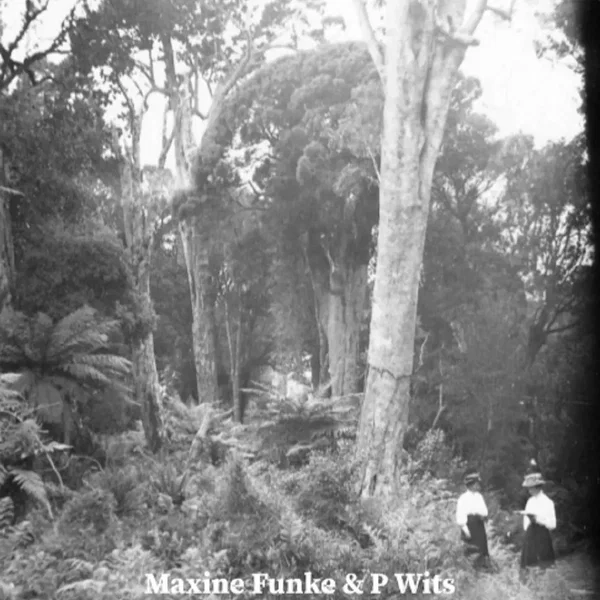Forest Photographer