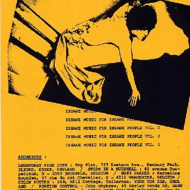 Insane Music for Insane People, Volume 2 by Various Artists - album cover