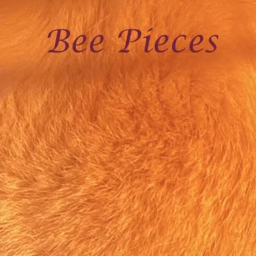 Volume 1 by Bee Pieces - album cover