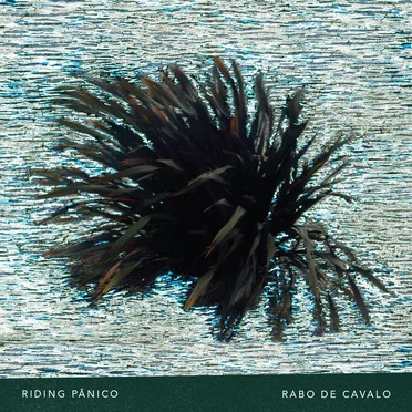 Rabo de Cavalo