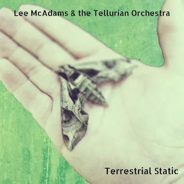 Terrestrial Static by Lee McAdams & the Tellurian Orchestra - album cover