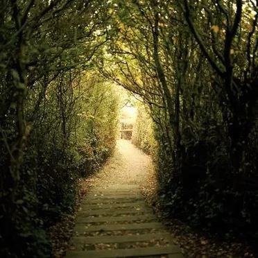 The Beaten Path EP