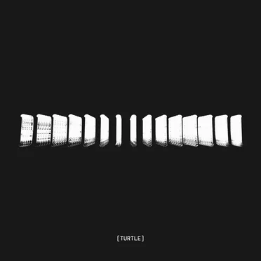 Landmass by Turtle - album cover