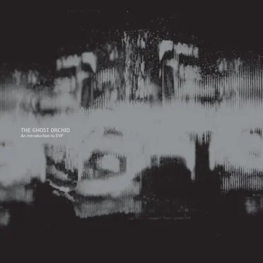 The Ghost Orchid: An Introduction to EVP by Various Artists - album cover