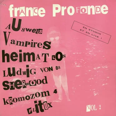 France Profonde Vol 2 by Various Artists - album cover