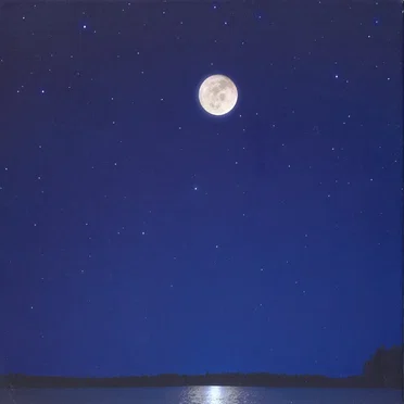 Moon’s Milk in Final Phase by Electric Sewer Age - album cover