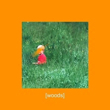 Woods by B77 - album cover