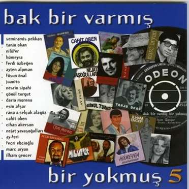 Bak Bir Varmış Bir Yokmuş 5 by Various Artists - album cover