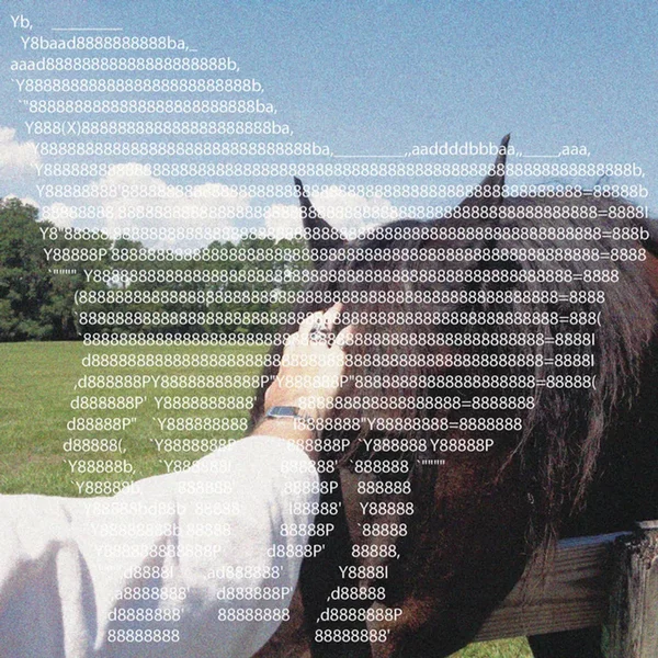 Horse Saturday