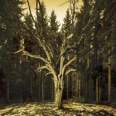 The Beginning to an Ending by Born a Ghost - album cover