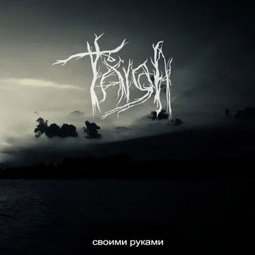 Своими руками by Taiga - album cover