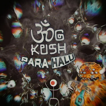 OMG Kush by Para Halu - album cover