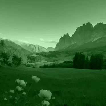 GREEN 14 by Elio Varesse - album cover