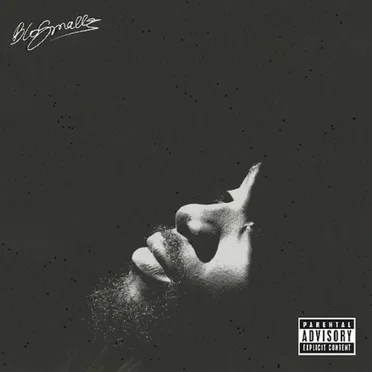 Fishscale