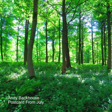 Postcard From July