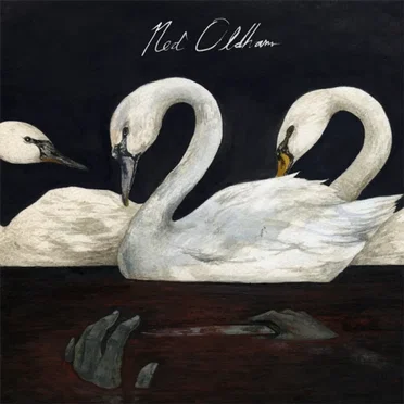 Let's Go Out Tonight by Ned Oldham - album cover