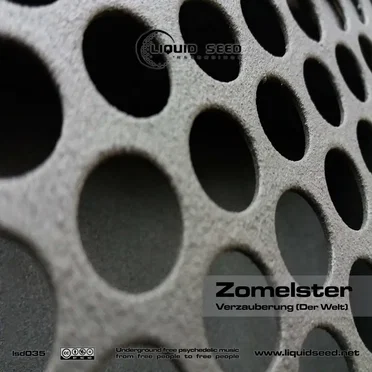 Verzauberung (Der Welt) by Zomelster - album cover