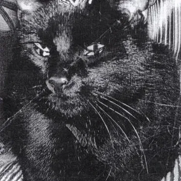 Strange Chalices of Seeing