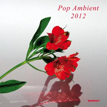 Pop Ambient 2012 by Various Artists - album cover