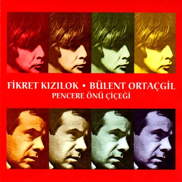 Pencere Önü Çiçeği