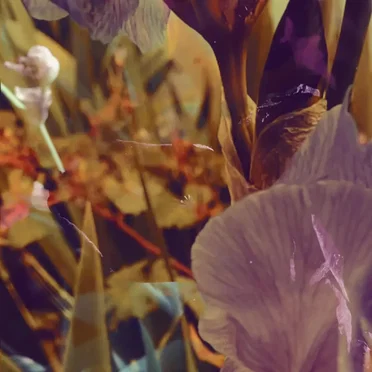 The Less I Say, the More I Hear