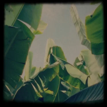 Plátano Tapes by Lagoss - album cover