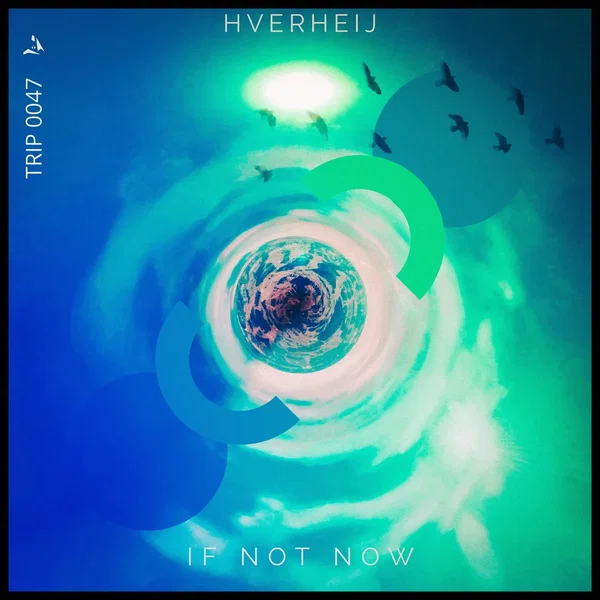 If Not Now