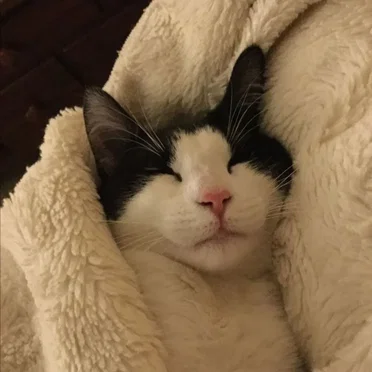 Nodding Off