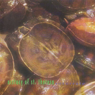 Susurrate by The Ecstasy of Saint Theresa - album cover