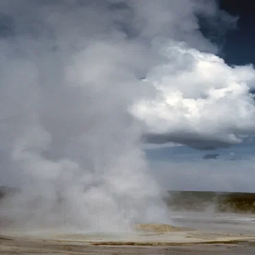 Because of All You Want