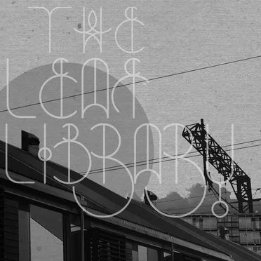 Different Activities, Similar Diversions by The Leaf Library - album cover
