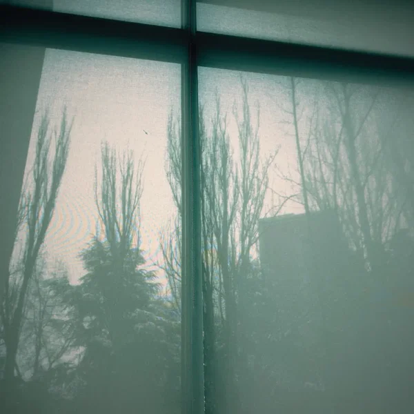 Your Soft Absence