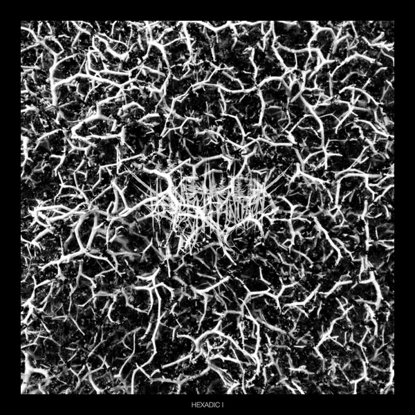 Hexadic I