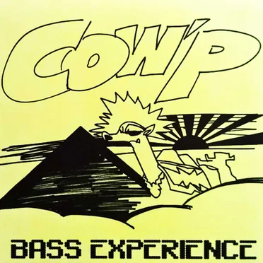 Bass Experience